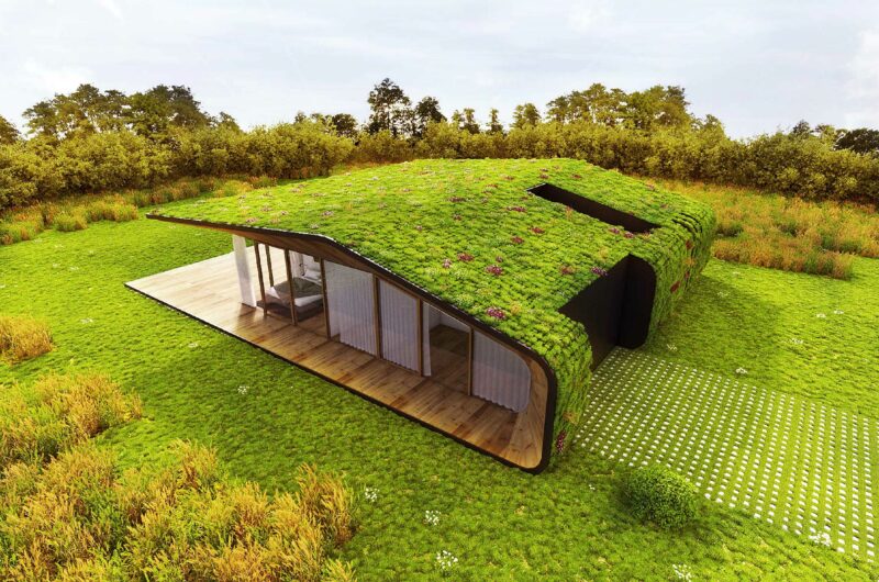 Green Nest House