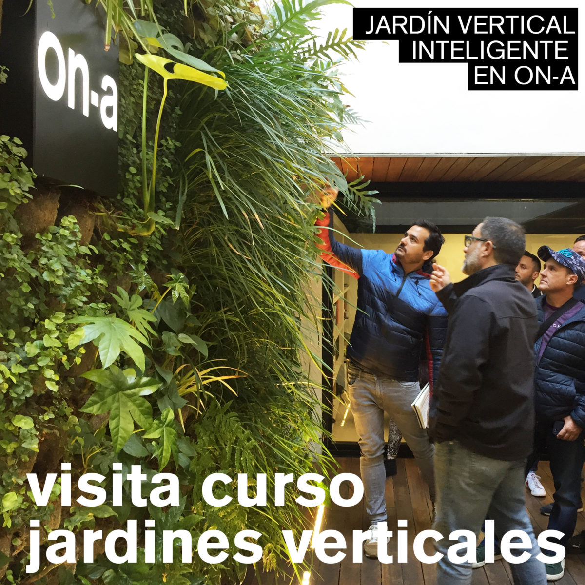 VISITA CURSO JARDINES VERTICALES A ON-A