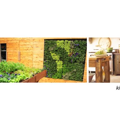 The idea was to build a green wall where it was part agriculture, part show-cooking